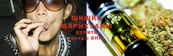 прущий лед Богородск
