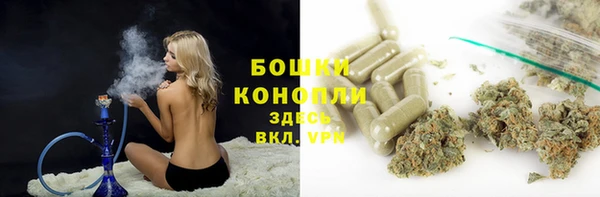 apvp Богданович