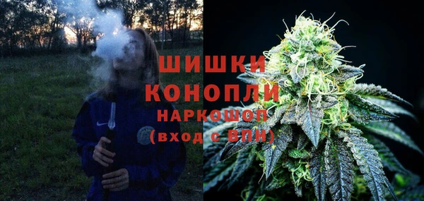 твердый Горняк