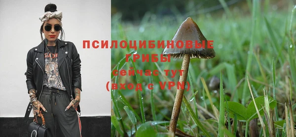 MDMA Белокуриха
